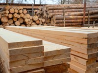 ¿Por qué es importante el secado de la madera en carpintería?